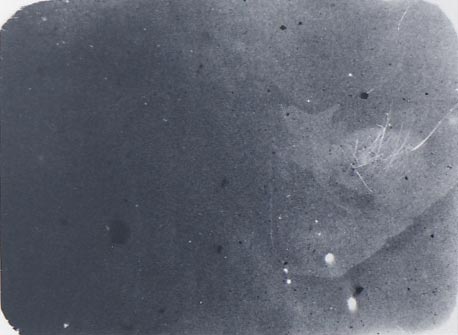 b0140046_19444216.jpg