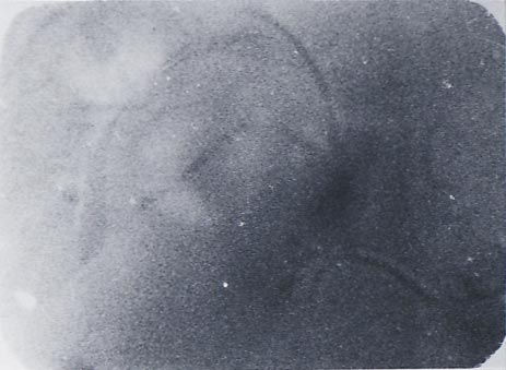 b0140046_1944865.jpg