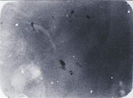 b0140046_2004864.jpg