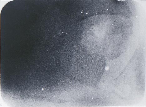 b0140046_20154836.jpg