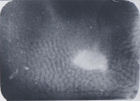 b0140046_2022782.jpg