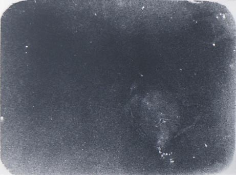 b0140046_2025932.jpg