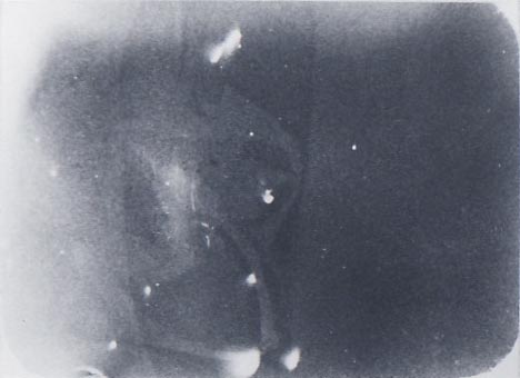 b0140046_2052299.jpg