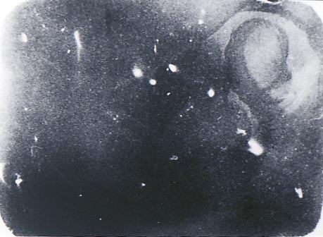 b0140046_2061437.jpg