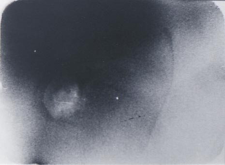 b0140046_2065838.jpg