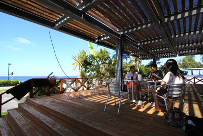d0065247_2155890.jpg