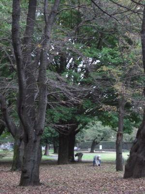 b0152049_7181570.jpg