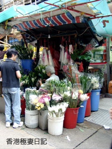 f0190653_1055090.jpg