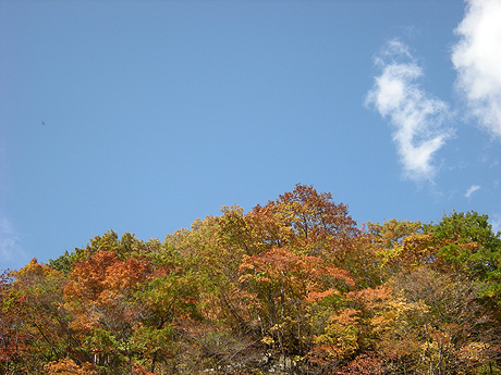 10月30日　紅葉の奥利根その1 藤原ダム_a0001354_20155210.jpg