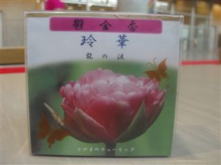 国際フラワーエキスポに行ってきました_d0082655_18411614.jpg