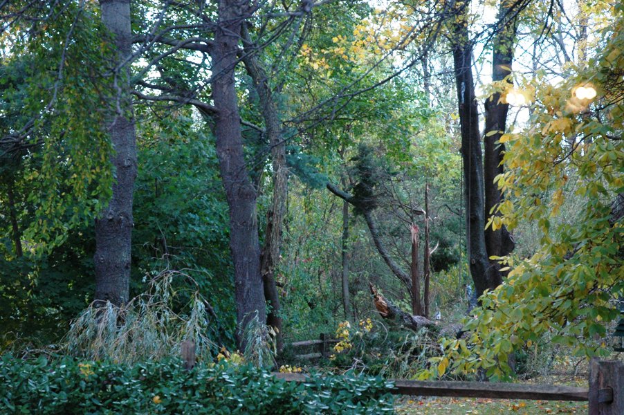 c0055857_44335.jpg