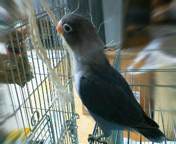 e0147757_21551851.jpg