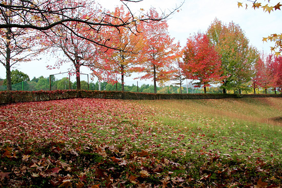 f0147858_162369.jpg