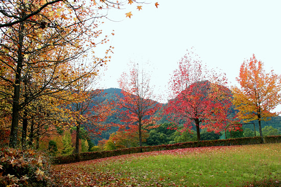 f0147858_16237.jpg