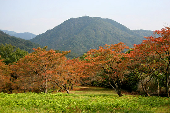 f0147858_1644126.jpg