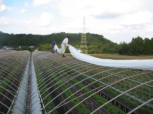 f0186462_04880.jpg