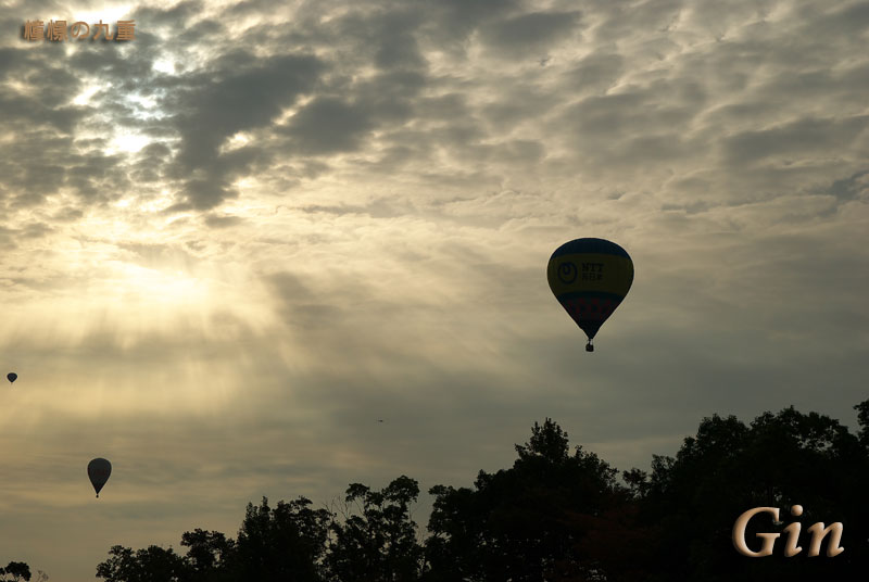 f0173067_15231180.jpg