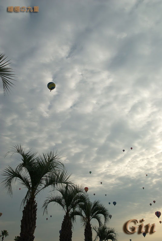 f0173067_15232084.jpg