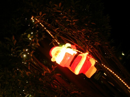 クリスマス・ラブ_b0125570_1161521.jpg