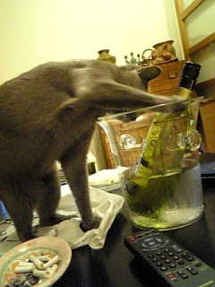 c0126170_021132.jpg