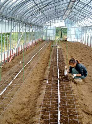 球根植え付けと二重掛けの準備_e0097770_194332100.jpg