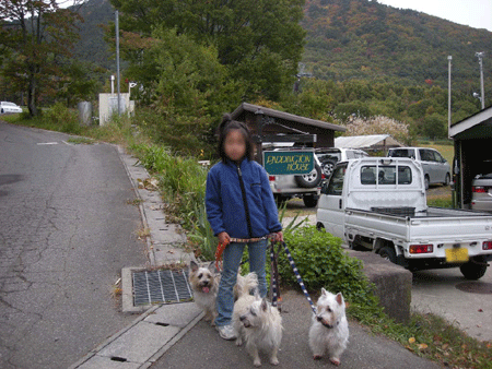 e0066883_21183590.gif