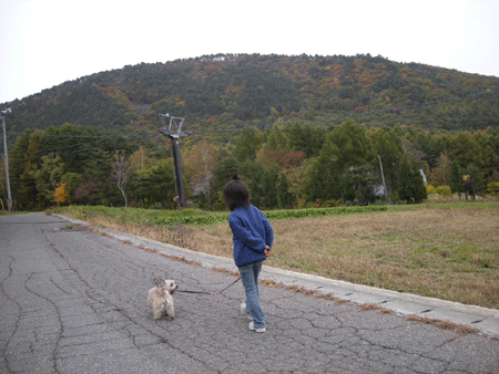 e0066883_21185696.gif