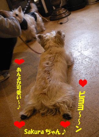 e0066883_2130271.gif