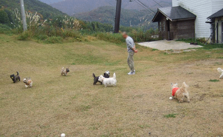 e0066883_21385089.gif