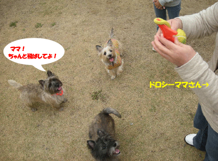 e0066883_21474649.gif