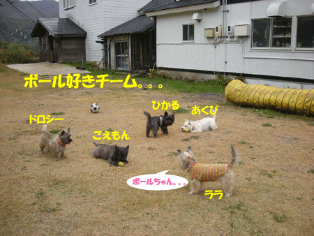 e0066883_2147678.gif