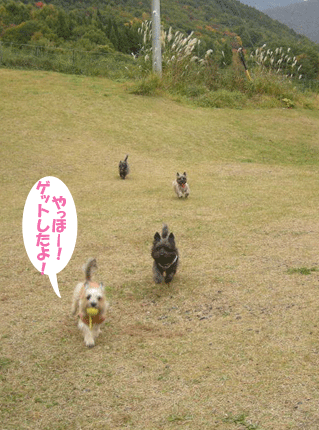 e0066883_21491246.gif