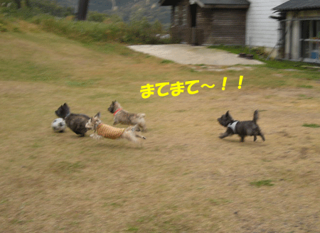 e0066883_21493620.gif