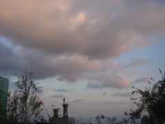 2008年10月28日 いや~ひさしぶり! _b0098584_17151032.jpg