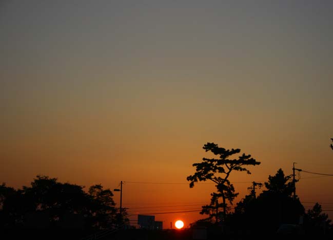 c0177785_1848781.jpg