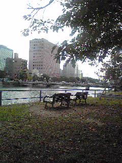 b0132389_1649991.jpg