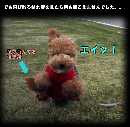 c0164491_13391330.jpg