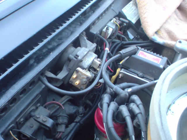 c0173293_1383864.jpg