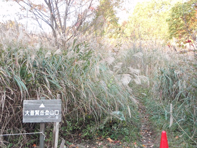 c0147398_14464599.jpg