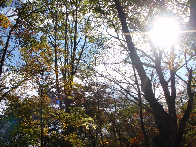 c0147398_14481034.jpg
