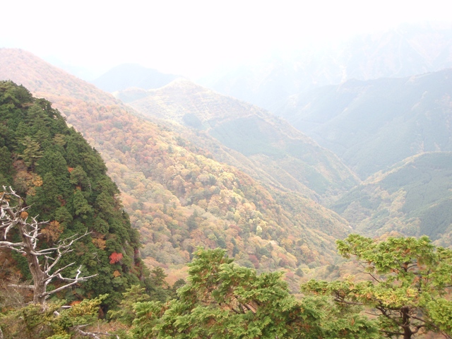 c0147398_14525114.jpg