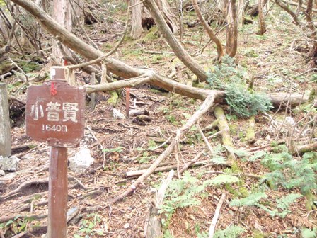 c0147398_14531750.jpg