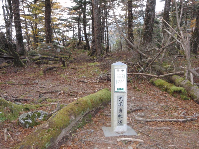 c0147398_1454356.jpg