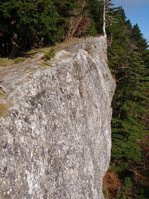 c0147398_14561983.jpg