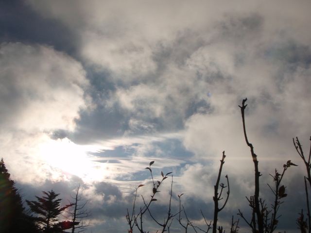 c0147398_22491827.jpg