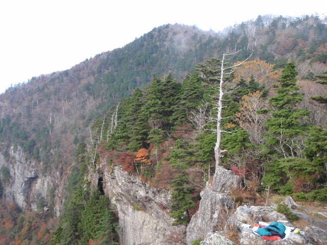 c0147398_225109.jpg