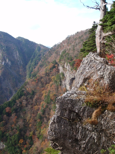 c0147398_22524137.jpg