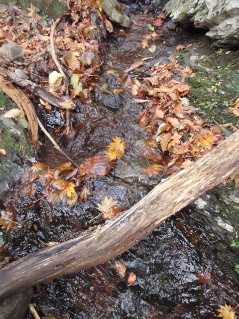 c0147398_22531240.jpg