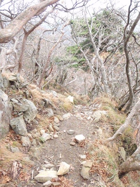 c0147398_22542097.jpg