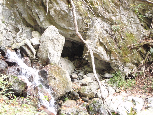 c0147398_22563789.jpg
